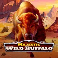 Majestic Wild Buffalo